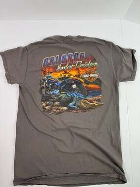Vintage Harley-Davidson Orlando Florida Graphic T-Shirt, Size S, Gray